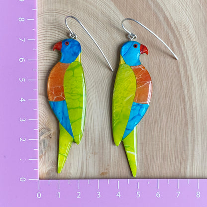 Rainbow Lorikeet Earrings | grand size