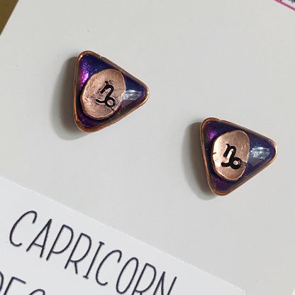 Zodiac Star Sign Earrings | Capricorn